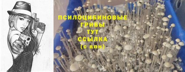 кокаин колумбия Гусев