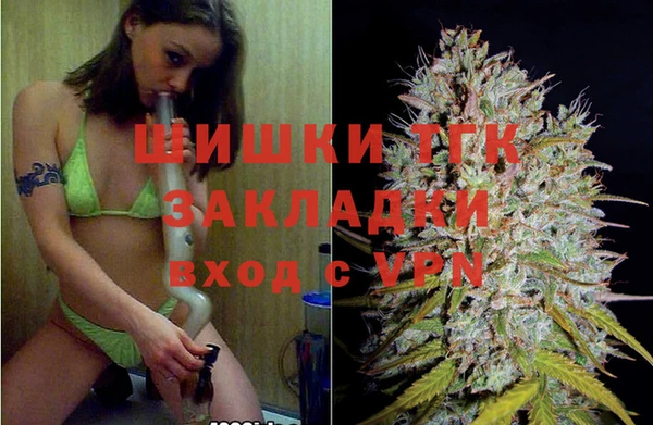 ешки Гусиноозёрск